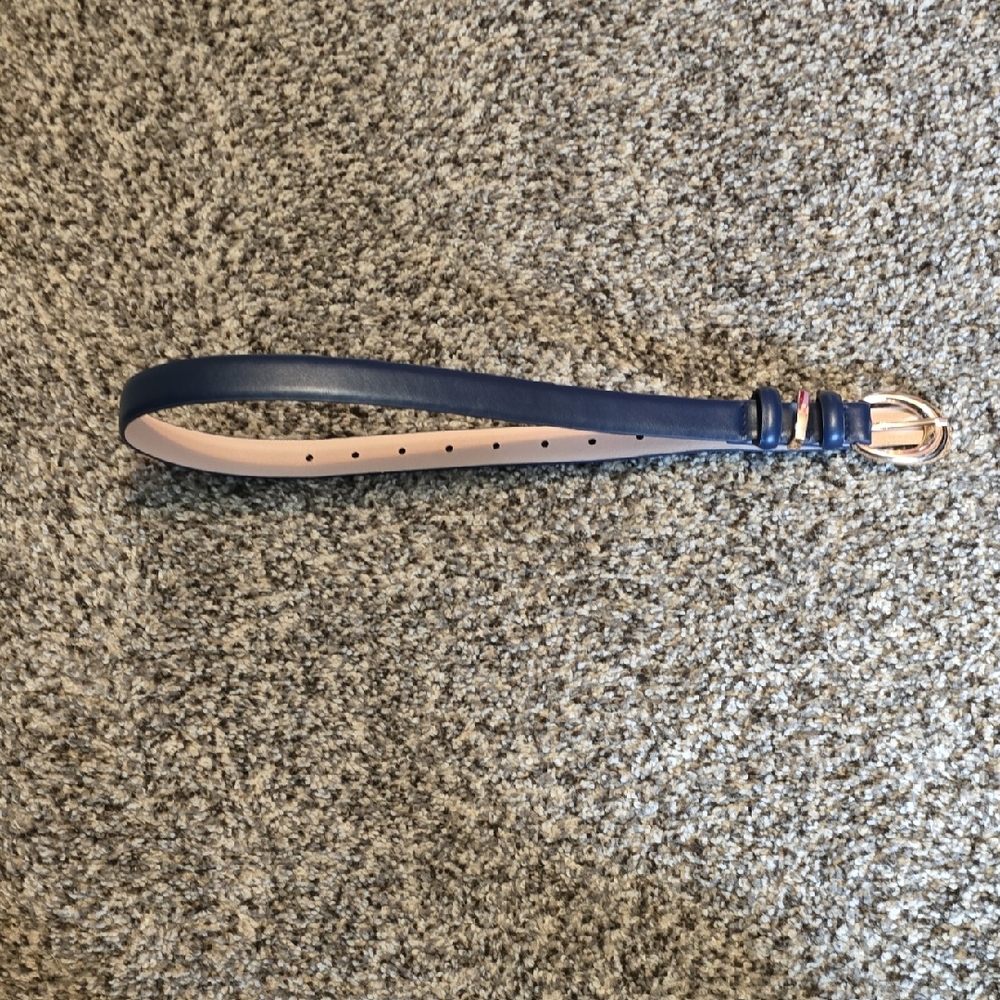 Blue and Beige Belt with Gold Buckle